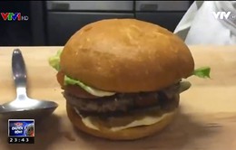 Công nghệ chế tạo bánh burger chay có hương vị thịt bò