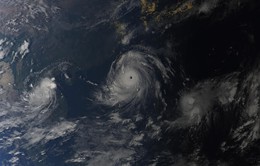Trung Quốc nâng cao cảnh báo với siêu bão Meranti