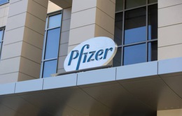 Pfizer đồng ý nộp phạt 785 triệu USD cho Chính phủ Mỹ