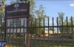 Australia: Nhóm thanh niên bịt mặt thả cá sấu vào trường học