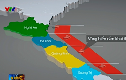 Lập bản đồ cấm khai thác cá biển tầng đáy tại 4 tỉnh miền Trung