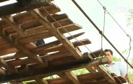 Sơn La: Cầu treo xuống cấp - “Cái bẫy” trong mùa mưa bão