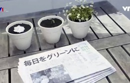 Độc đáo tờ báo có thể… trồng thành cây
