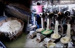 Trung Quốc: Cứ gần 1 giờ có 1 người chết vì thực phẩm bẩn