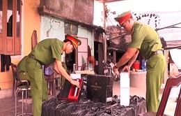 Quảng Trị: Tài xế vứt 72 chai rượu Chivas 25 để bỏ trốn