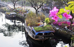 Sức hấp dẫn của chợ hoa trên bến dưới thuyền tại TP.HCM