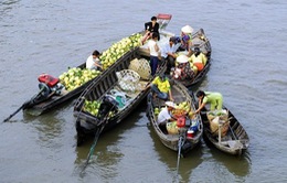 Cần Thơ xuất hiện nạn “chặt chém” du khách không thương tiếc