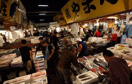Kế hoạch chợ cá mới ở Tokyo vướng vì nguồn nước ô nhiễm