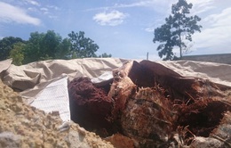Đà Nẵng: Phát hiện vụ chôn lấp hàng trăm tấn chất thải nghi độc hại