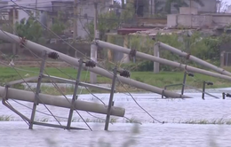Thái Bình: Nhiều cột điện gãy đổ sau bão số 1 do chưa đủ tiêu chuẩn