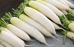Củ cải trắng - "Nhân sâm" giúp tăng cường sức khỏe