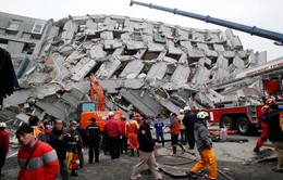 Đài Loan bắt chủ công ty xây tòa nhà bị sập vì động đất