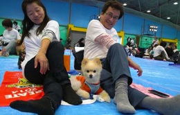 Kỷ lục tập yoga cùng cún cưng tại Nhật Bản