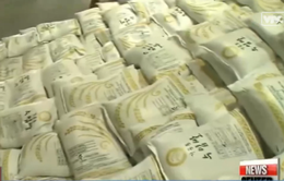 Khủng hoảng dư thừa gạo, Hàn Quốc "bốc hơi" hàng trăm triệu USD