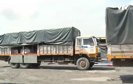 Bắt quả tang 5 xe tải chở đường cát nhập lậu tại TP.HCM