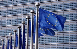 Ủy ban châu Âu tăng cường chống rửa tiền và tài trợ khủng bố