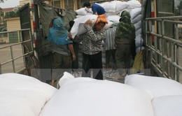 Chính phủ chỉ đạo hỗ trợ gạo cho Thanh Hóa và Ninh Thuận