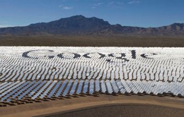 Năm 2017: Google sẽ sử dụng 100% năng lượng tái tạo
