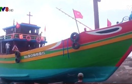 Hạ thủy tàu hậu cần nghề cá lớn nhất Đà Nẵng