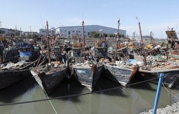 Hàn Quốc triệu Đại sứ Trung Quốc về vụ đâm chìm tàu tuần tra