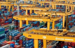 Hãng tàu Hanjin phá sản để lại hơn 4.000 container tại cảng Việt Nam