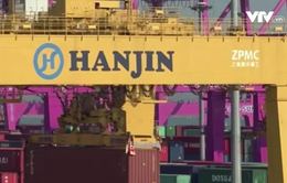 Hàn Quốc cân nhắc bán lại hãng vận tải biển Hanjin
