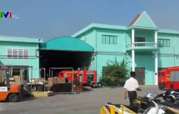 Bình Dương: Hỏa hoạn thiêu rụi xưởng chứa sơn