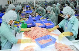 DN xuất khẩu cá tra hưởng lợi lớn từ FTA Việt Nam - EAEU