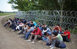 Châu Âu họp bàn cách cứu Khu vực Schengen khỏi nguy cơ sụp đổ