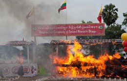 Myanmar tiêu hủy số lượng lớn ma túy