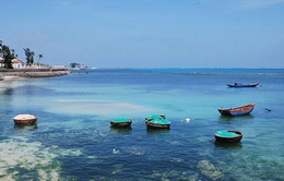 Ban hành quy chế quản lý khu bảo tồn biển Lý Sơn