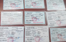Quảng Nam: Phá đường dây làm giả giấy tờ xe máy
