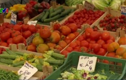 Italy thông qua Luật chống lãng phí thực phẩm