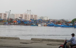 Đà Nẵng: Lập tổ giám sát xử lý ô nhiễm tại âu thuyền Thọ Quang