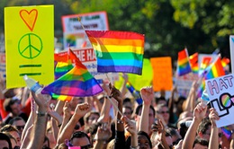 Những nỗ lực thúc đẩy sự bình đẳng cho cộng đồng người đồng tính