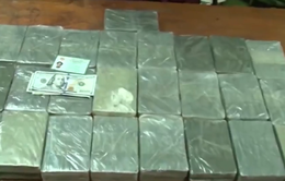 Phá đường dây buôn ma túy xuyên quốc gia, thu giữ 50 bánh heroin