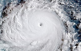 Siêu bão Meranti đổ bộ Đài Loan có thể mạnh nhất 50 năm qua