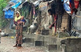 Myanmar: Hỏa hoạn nghiêm trọng tại trại tị nạn Baw Du Pha