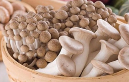 Sau hoa quả, các loại nấm Trung Quốc cũng bọc mác hàng Việt