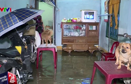 Mưa lớn tại Khánh Hòa gây ngập úng cục bộ nhiều khu dân cư