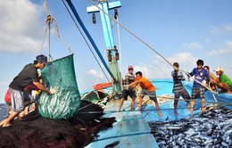 Ngư dân - Cột mốc sống chủ quyền trên biển Đông