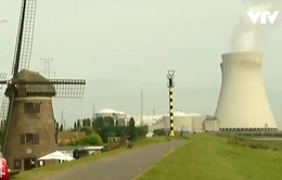 Hai nhà máy điện nguyên tử cổ lỗ tại Bỉ gây hoang mang