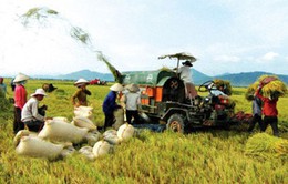 Lợi ích từ hợp tác nông nghiệp Việt Nam - Philippines