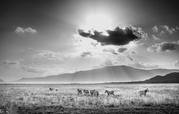 Rung động với những bức ảnh vùng nông thôn Kenya
