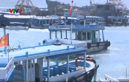 Khánh Hòa: Quá tải tàu tại cảng du lịch Cầu Đá
