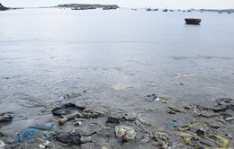 Quảng Bình: Khó xử lý rác thải đổ về bờ biển sau mưa lũ
