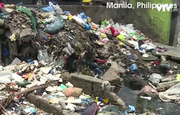 Philippines: Người dân Manila sống trong biển rác khổng lồ