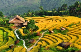 Ruộng bậc thang Việt Nam vào danh sách cảnh quan "đẹp đến khó tin"