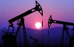Nga cắt giảm sản lượng để cùng OPEC ổn định thị trường dầu mỏ