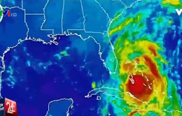 Matthew được xem là cơn bão mạnh nhất quét qua Mỹ từ 2005